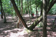 Hut bouwen 2012