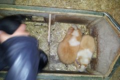 20130511_145057